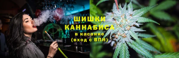 молекула духа Балахна