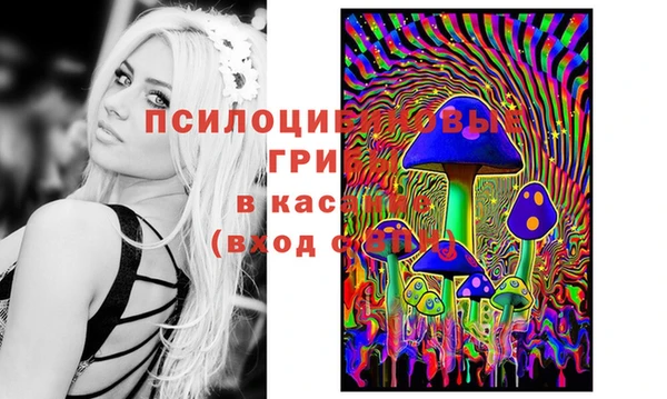 прущая мука Пролетарск