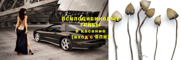 эйфоретик Баксан