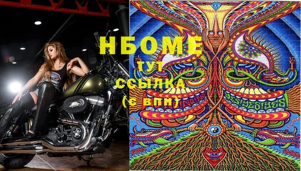 молекула духа Балахна